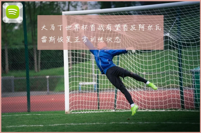 大马丁世界杯首战有望首发阿尔瓦雷斯恢复正常训练状态